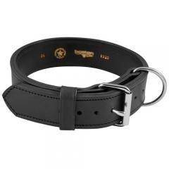 2 K-9 Agitation Collar